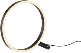 Stalinis šviestuvas Paul Neuhaus Ritus, LED, 11.5W, balta sp./antracito sp.