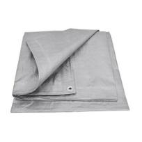Tentas 64416, sidabro sp., 10 m x 6 m