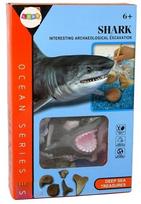 Kasinėjimo rinkinys Lean Toys Ocean Fish Shark, juoda sp.