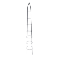 Augalo atrama 4IQ Pyramid L, 30.5 cm x 30.5 cm, 181 cm, geležis, juoda sp.