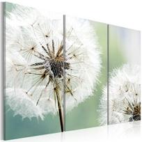 Akrilo stiklo reprodukcija Artgeist Fluffy Dandelions, 40 cm x 80 cm