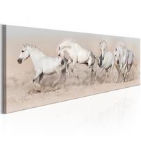 Reprodukcija Artgeist Wild Beauty N6438, 120 cm x 40 cm