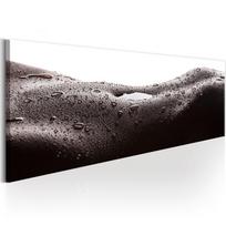 Reprodukcija Artgeist Erotic Landscape N4558, 120 cm x 40 cm