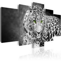 Reprodukcija Artgeist Leopard, g-a-0086-b-p, 200 cm x 100 cm