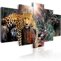 Reprodukcija Artgeist Leopard Relaxation N6086, 100 cm x 50 cm