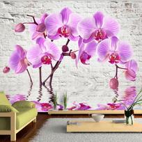 Fototapetas Artgeist Purple Delight, 245 cm x 245 cm