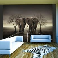 Fototapetas Artgeist City Of Elephants XLFTNT0798, 193 cm x 250 cm
