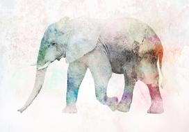 Fototapetas Artgeist Painted Elephant, 210 cm x 300 cm