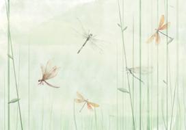Fototapetas Artgeist Dragonflies In The Meadow, 105 cm x 150 cm