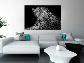 Reprodukcija Artgeist Leopard Portrait N7927PWD, 90 cm x 60 cm