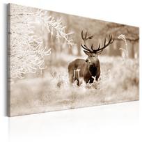 Reprodukcija Artgeist Deer In Sepia HK7057-DKX, 90 cm x 60 cm