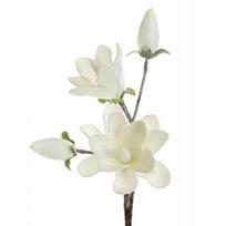Dirbtinė gėlė, magnolija Flore 667, balta sp., 59 cm x 17 cm