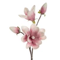 Dirbtinė gėlė, magnolija Flore 667, rožinė sp., 59 cm x 17 cm