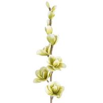 Dirbtinė gėlė, magnolija Flore 713, žalia sp., 104 cm x 12 cm
