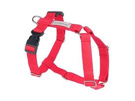 Petnešos šunims Amiplay Guard Samba, raudona sp., 250 - 320 mm x 10 mm, XS