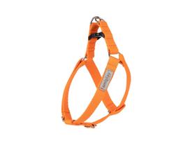 Petnešos šunims Amiplay Samba, oranžinė sp., 220 - 300 mm x 10 mm, XS