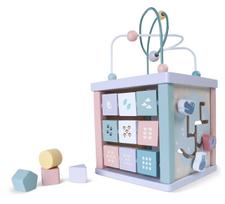 Lavinamasis kubas EcoToys