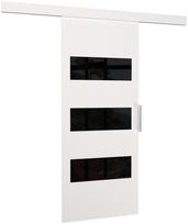 Durys Ares 96, stumdomosioms vidaus durims, 205 cm
