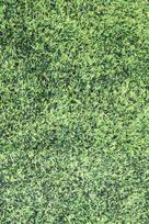 Kiliminis takas Conceptum Hypnose Grass, įvairių spalvų, 300 cm x 100 cm