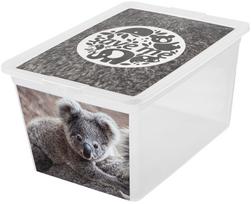 Daiktadėžė su dangčiu, žaislams Branq X Box Deco, 30 l, skaidri sp./pilka sp., 48.5 x 36 x 30 cm