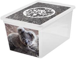 Daiktadėžė su dangčiu, žaislams Branq X Box Deco, 15 l, skaidri sp./pilka sp., 38.5 x 28.5 x 20 cm