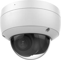 Kupolinė kamera LevelOne FCS-3096