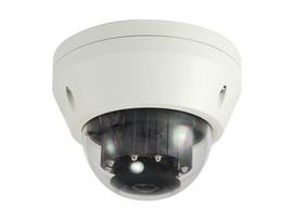 Kupolinė kamera LevelOne FCS-3306