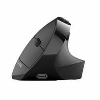 Belaidė kompiuterinė pelė JLab JBuds Ergonomic, 2.4 ghz, juoda sp.