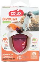 Šuns pavadėlio apšvietimo sistema Zolux, raudona sp.