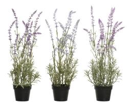 Dirbtinė gėlė, levanda, violetinė sp./įvairių spalvų, 46 cm