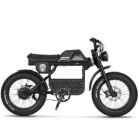 Elektrinis dviratis Ape Ryder Gibbon, L, 20", 250 W, 20 Ah, juoda sp.