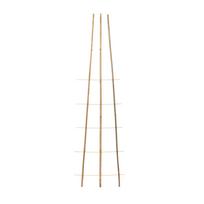 Augalo atrama Garden Center, 3 cm x 50 cm, 150 cm, bambukas