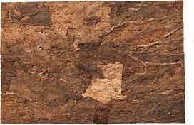 Terariumo fonas Terra Natura Virgin, 600 mm x 300 mm