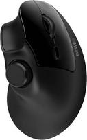 Kompiuterio laidinė pelė Evolveo TwinVerti, 2.4 ghz / bluetooth / usb, juoda sp.