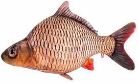 Pliušinis žaislas žuvis Fancy Carp, ruda sp., 34 cm