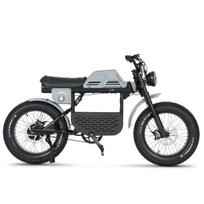 Elektrinis dviratis Ape Ryder 20 Gibbon, 1, 20", 250 W, 20 Ah, juoda sp./pilka sp.