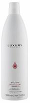 Šampūnas Luxury Hair Pro Back Bar Post Color, 1000 ml