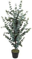 Dirbtinis augalas vazone, eukaliptas Home4you Wind, ruda sp./žalia sp., 120 cm