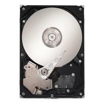 Kietasis diskas (HDD) Seagate ST3300656SS-RFB, 2.5", 300GB
