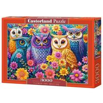 Dėlionė Castorland Flower Owl Meeting, 68 cm x 92 cm, 3000 vnt., įvairių spalvų