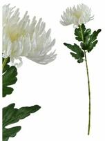 Dirbtinė gėlė, chrizantema Mondex Viridis, balta sp./žalia sp., 72 cm x 17 cm