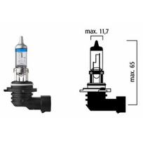 Automobilio lemputė Flosser, halogeninė, skaidri sp., 12 V
