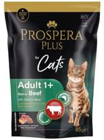 Šlapias kačių maistas Prospera Plus Cat Pouch, jautiena/morkos, 0.085 kg