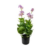 Dirbtinis augalas vazone Mondex Viridis, žalia sp./violetinė sp., 57 cm x 12.5 cm