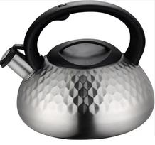 Arbatinukas su švilpuku La Cuisinette MWK 004, 3 l, sidabro sp.