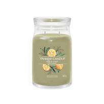 Žvakė, aromatinė Yankee Candle Signature Sage & Citrus, 60 - 90 h, 567 g, žalia sp.