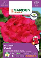 Sėklos Garden Center pelargonija EVA H, 5 vnt.