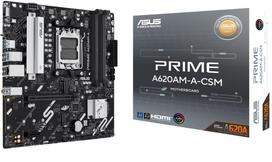 Pagrindinė plokštė Asus PRIME A620AM-A-CSM