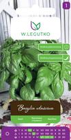 Sėklos kvapnusis bazilikas GREEN, 1 g