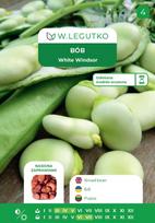 Sėklos, pupos WHITE WINDSOR, 50 g